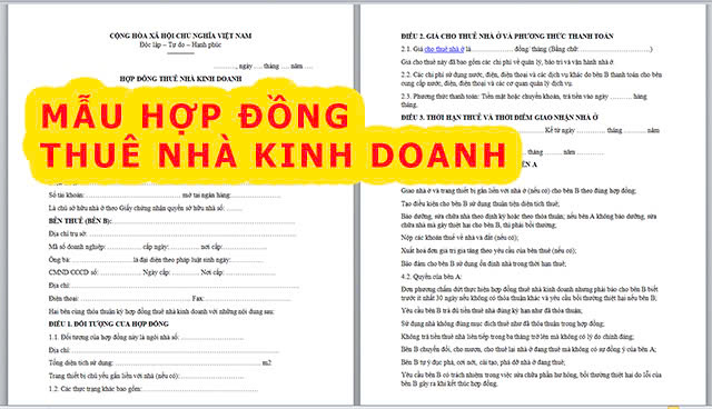 Hợp đồng thuê nhà kinh doanh